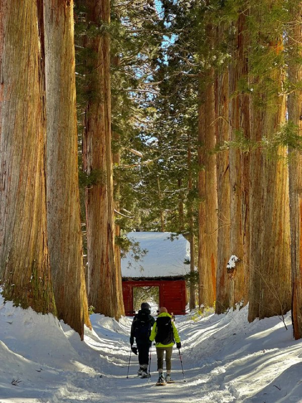 #日本  #长野  #户隐神社   #徒步  #户外徒步#日本  #长野  #户隐神社   #徒步  #户外徒步