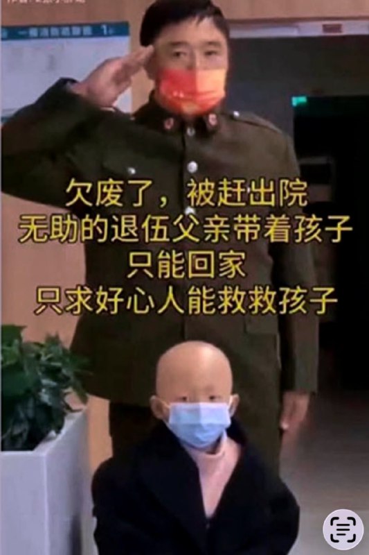 就你？算个JB毛