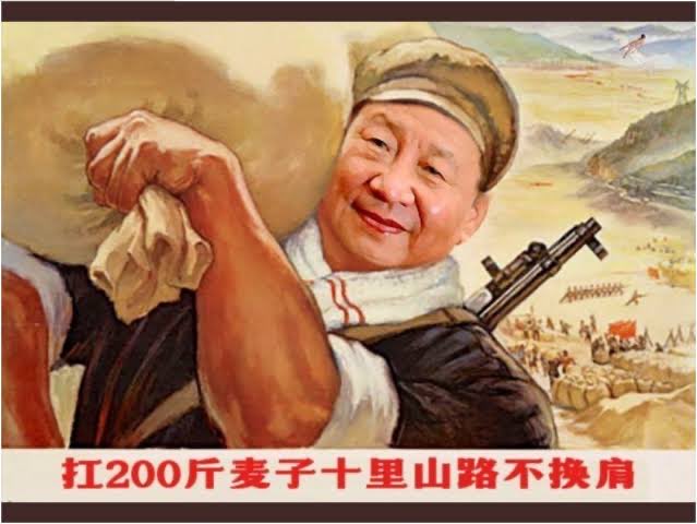 你要说她能承受12根鸡巴，我信