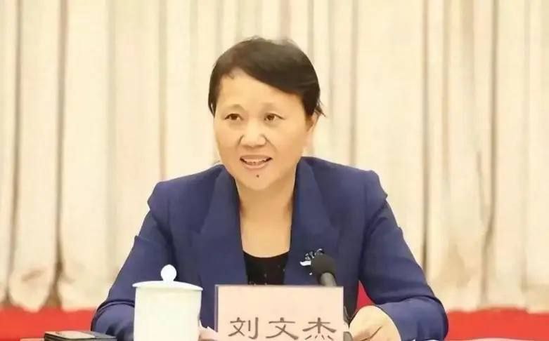 #杀人 #湖南财政厅 #刘文杰湖南财政厅厅长刘文杰被人捆绑从楼上扔下，凶手跟着自杀