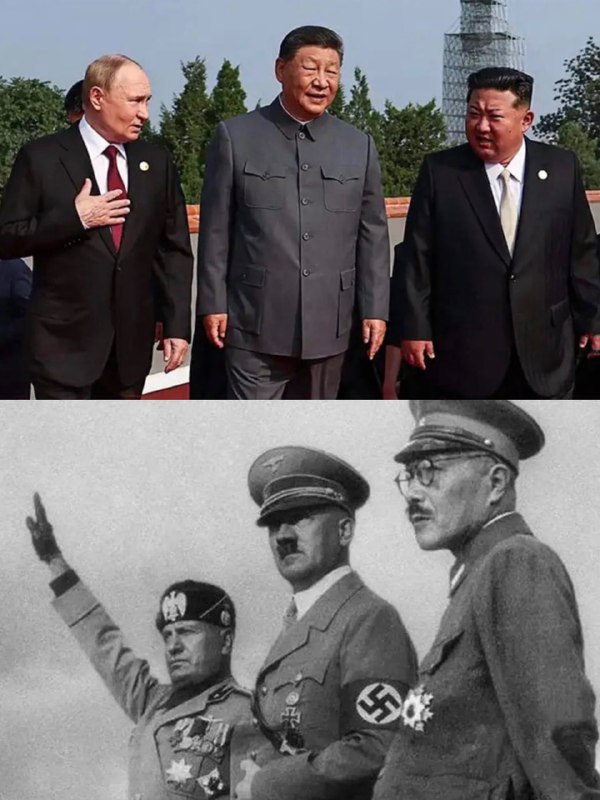 两代不同的轴心国，上一代轴心是法西斯主义；而这一代轴心是专制流氓独裁政权核心，歪瓜裂枣，各怀鬼胎，没有信仰，没有信誉，价值低劣，绑架本国民众为人质，是当代世界的垃圾