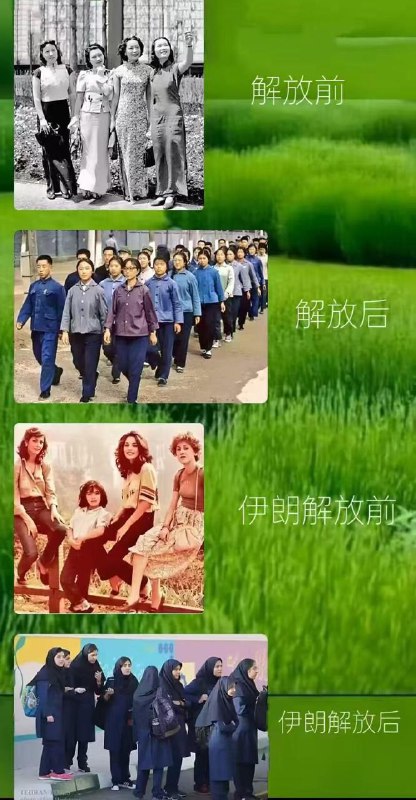 玩过游戏王的都知道，以前叫祭品，后来觉得不好听，改名叫解放了