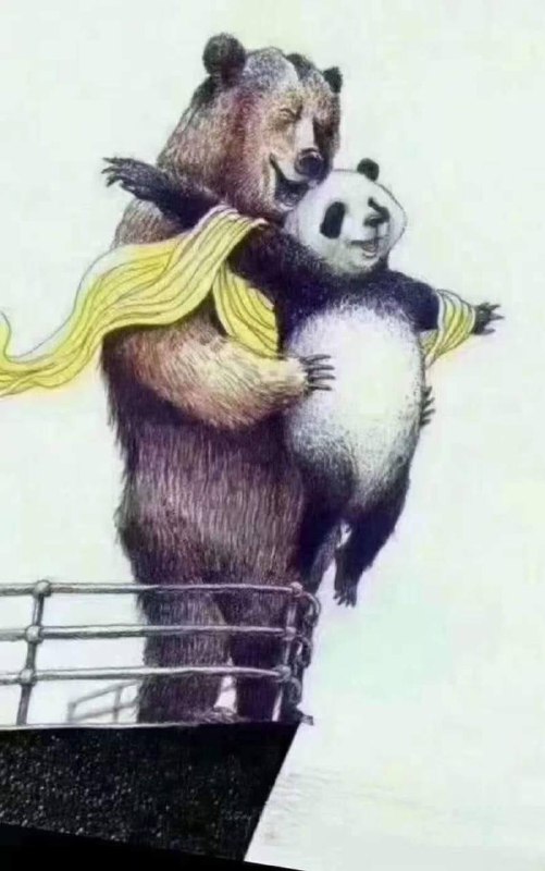 《普京与习近平那些事儿》《普京与习近平那些事儿》