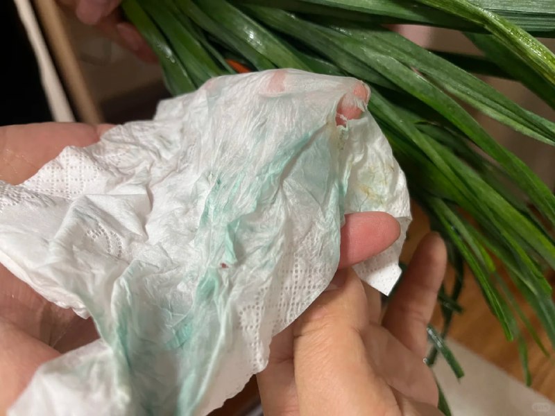 上海菜场买的韭菜，每天花着高价吃着药水，太可怕了#食品安全 #曝光上海菜场买的韭菜，每天花着高价吃着药水，太可怕了#食品安全 #曝光