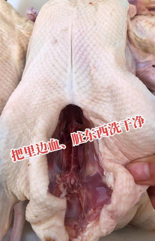 烧鸭 #科技与狠活 色素加25元冰冻白条鸭就是这样制作的烧鸭 #科技与狠活 色素加25元冰冻白条鸭就是这样制作的