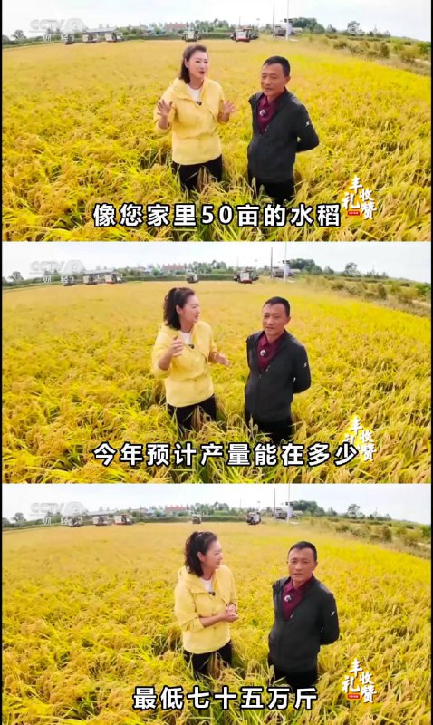 一切又都回来了，习泽东合作社的卫星田，比当年有进步，亩产一万五了