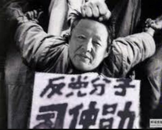 近日，居住在上海的一女博主发布视频