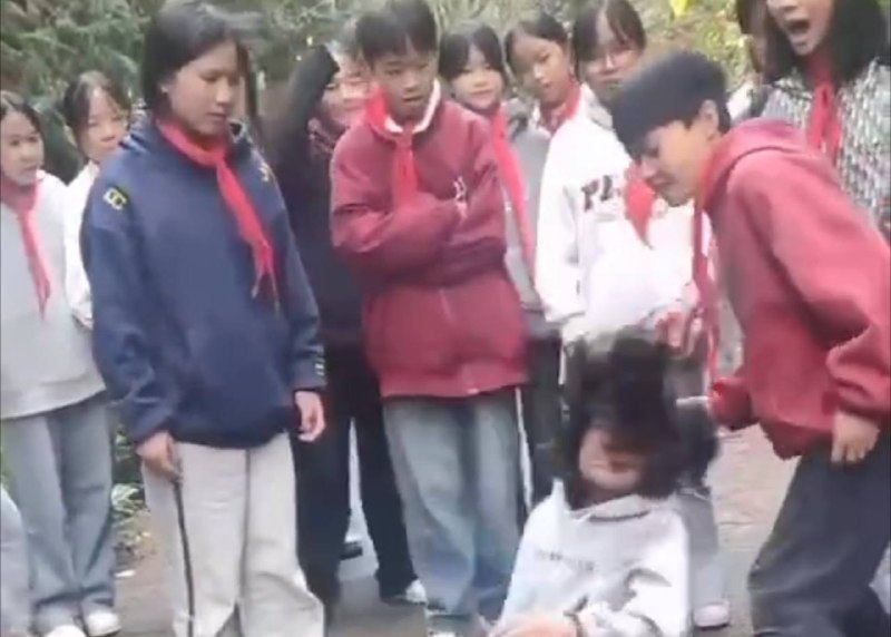 红领巾 #学生 #霸凌 #畜生 社会影响恶劣，教育局回复