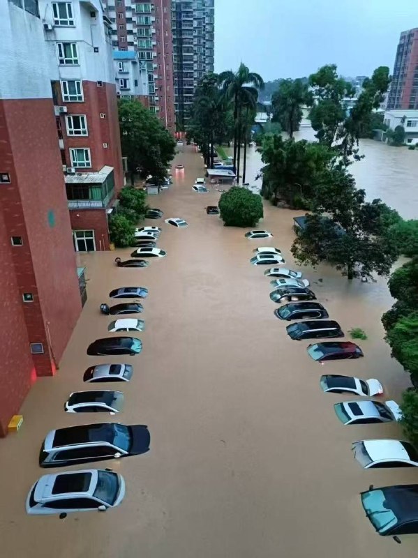 肇庆 鼎湖肇庆 鼎湖